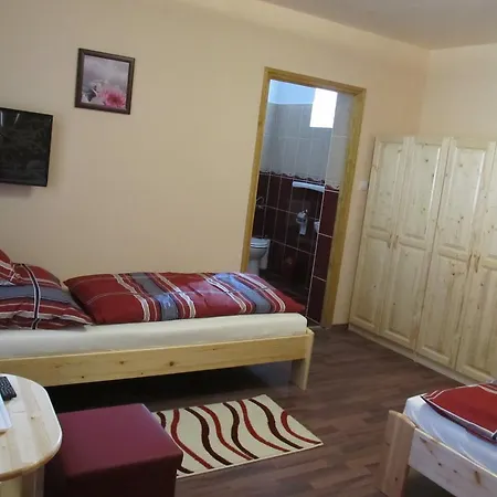 Guest house Tavi Feszek Vendeghaz