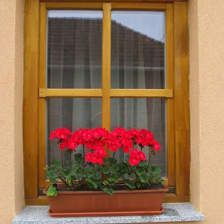 Tavi Feszek Vendeghaz Guest house Bank (Nograd)